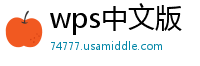 wps中文版